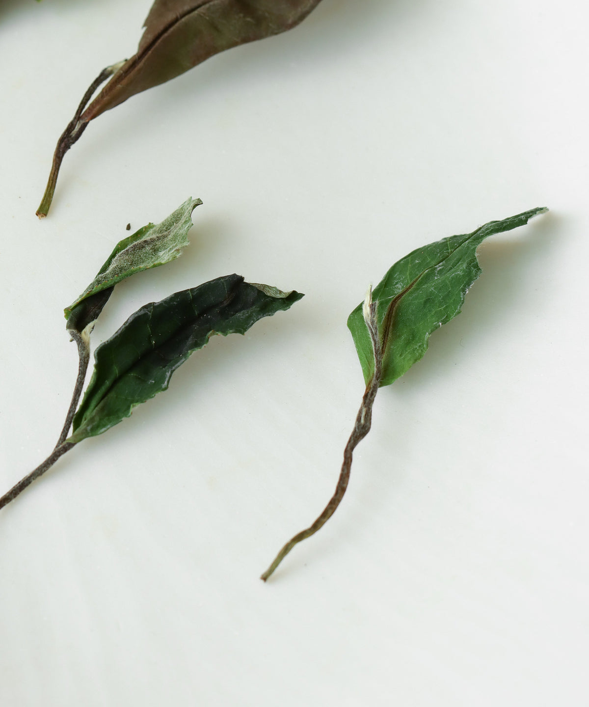 Ms. Qiong's philosophical approach to tea farming, tea crafting, and way of life