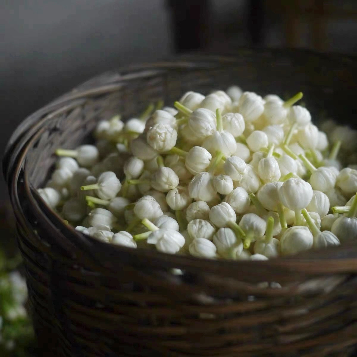 Jasmine: scent memory, and the most enchanting seasonal tea