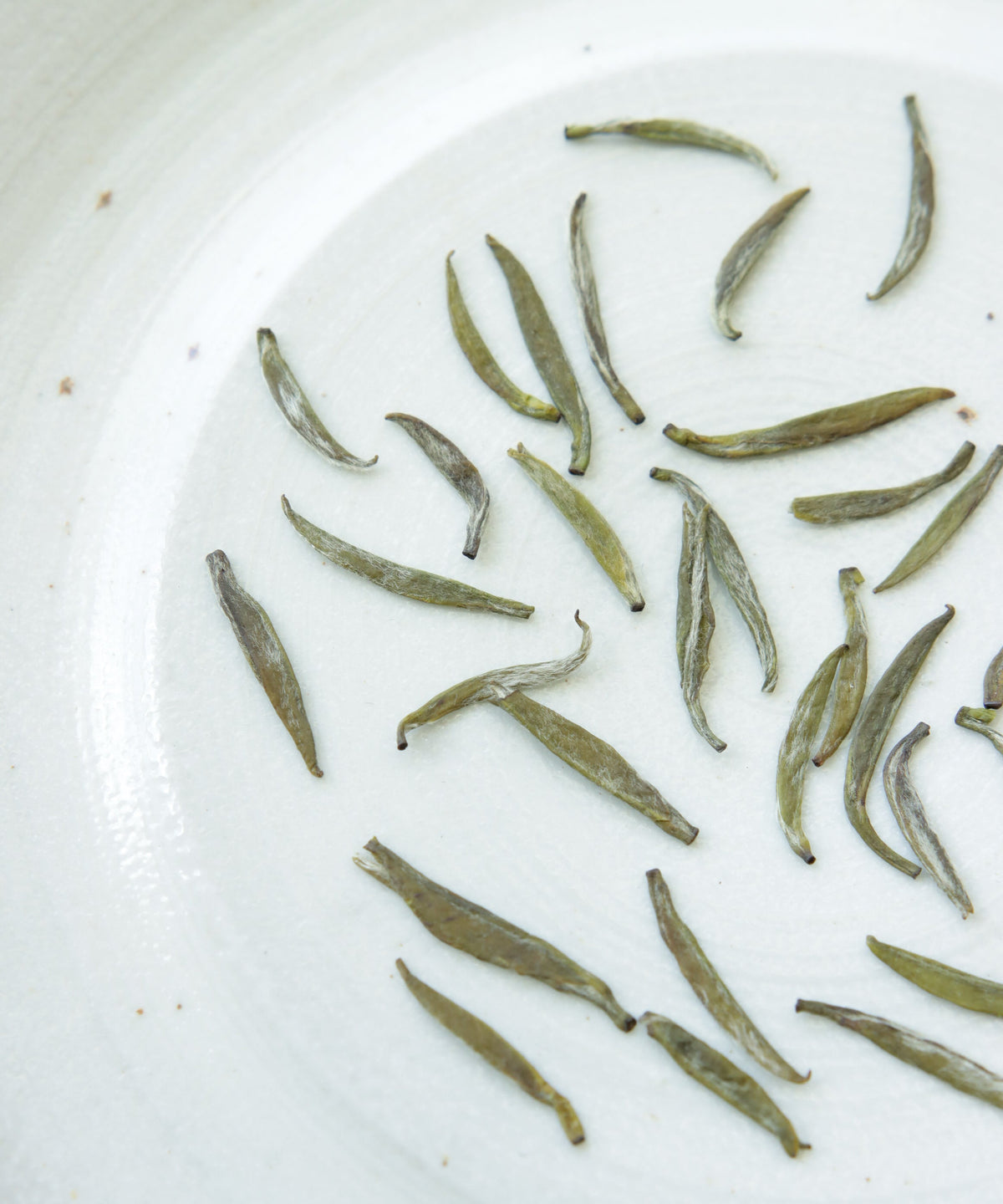 The Elusive and Endangered Yellow Tea