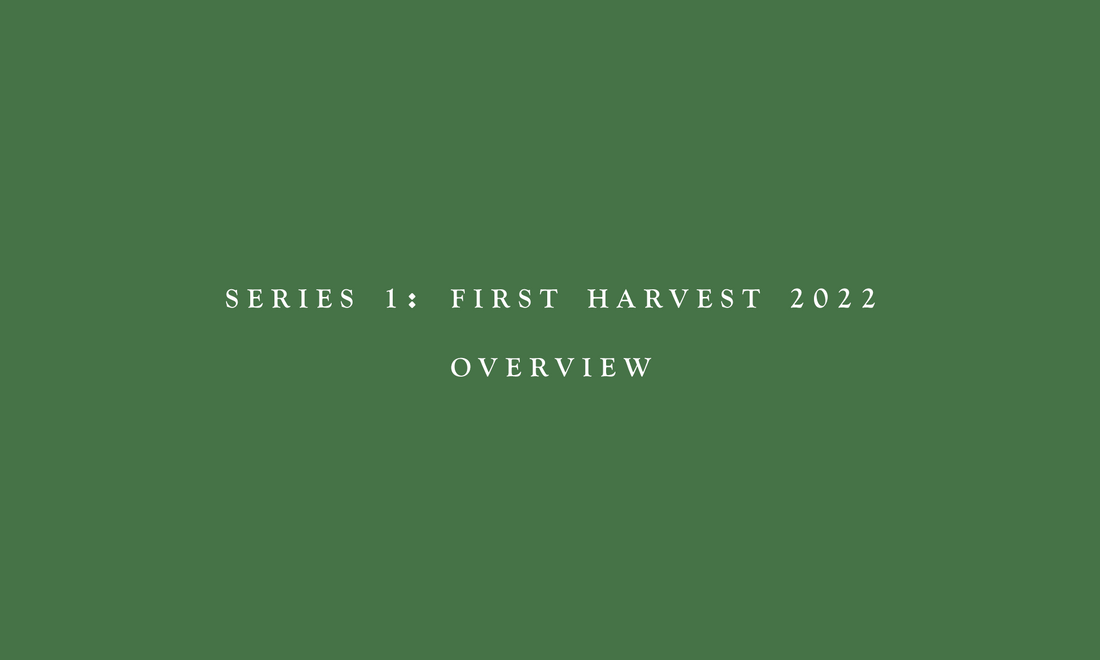 May 27 - July 10, 2022