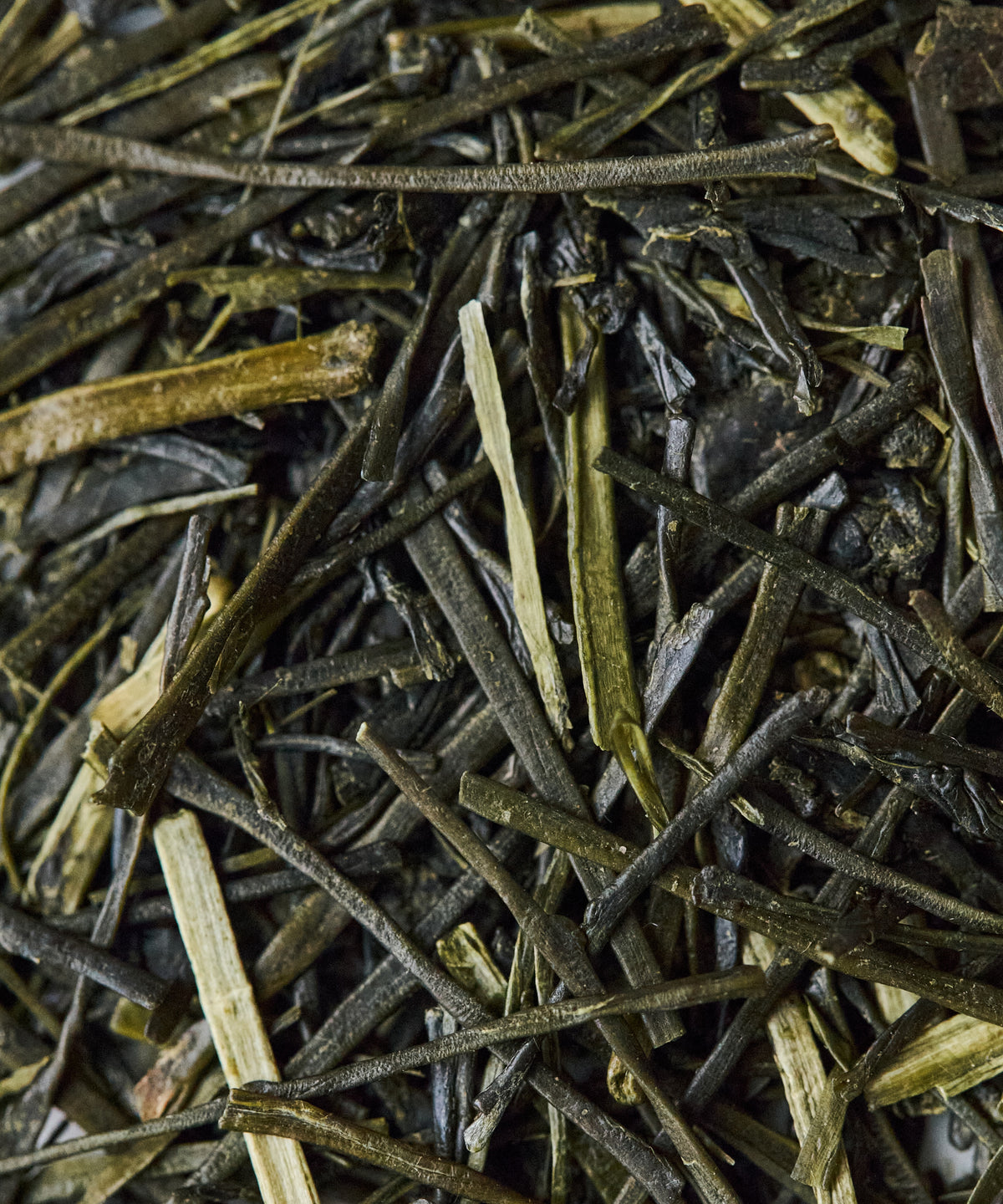 Sencha “Hatsuzumi April 21”