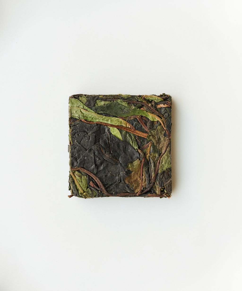 Ancient Wild White tea from 1000+ year wild pu'erh trees on Daxueshan, Yunnan - foraged by Mr. Tang