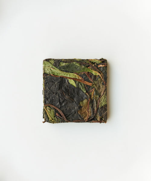 Ancient Wild White tea from 1000+ year wild pu'erh trees on Daxueshan, Yunnan - foraged by Mr. Tang