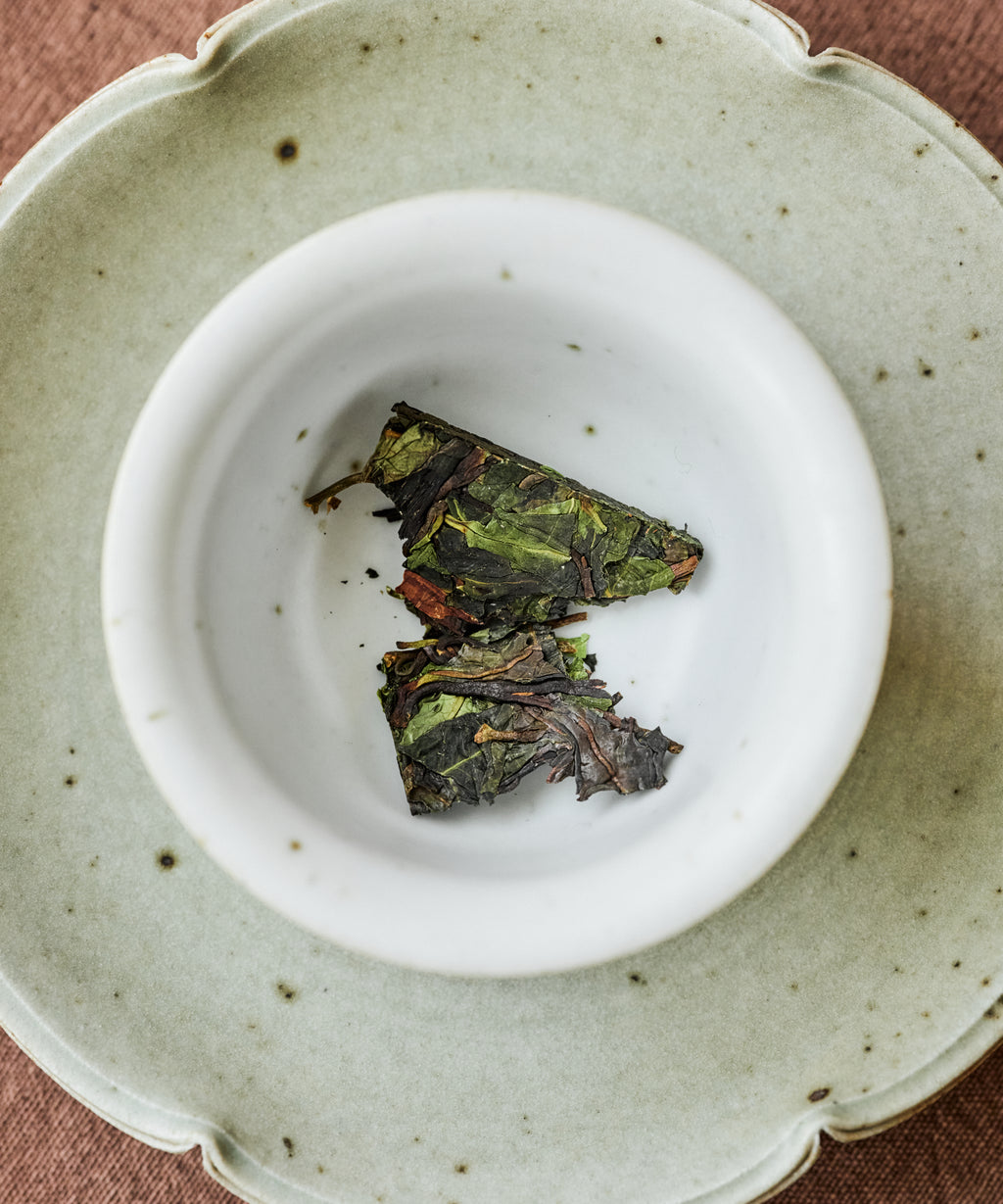 Ancient Wild White leaves in a white gaiwan ready for brewing