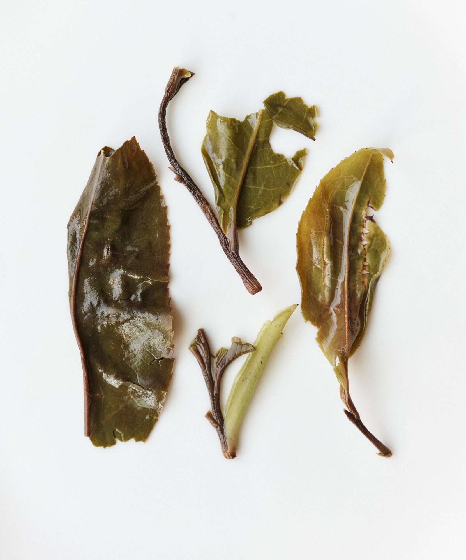 Ancient Wild White — Daxueshan Wild Pu'erh White Tea, Yunnan