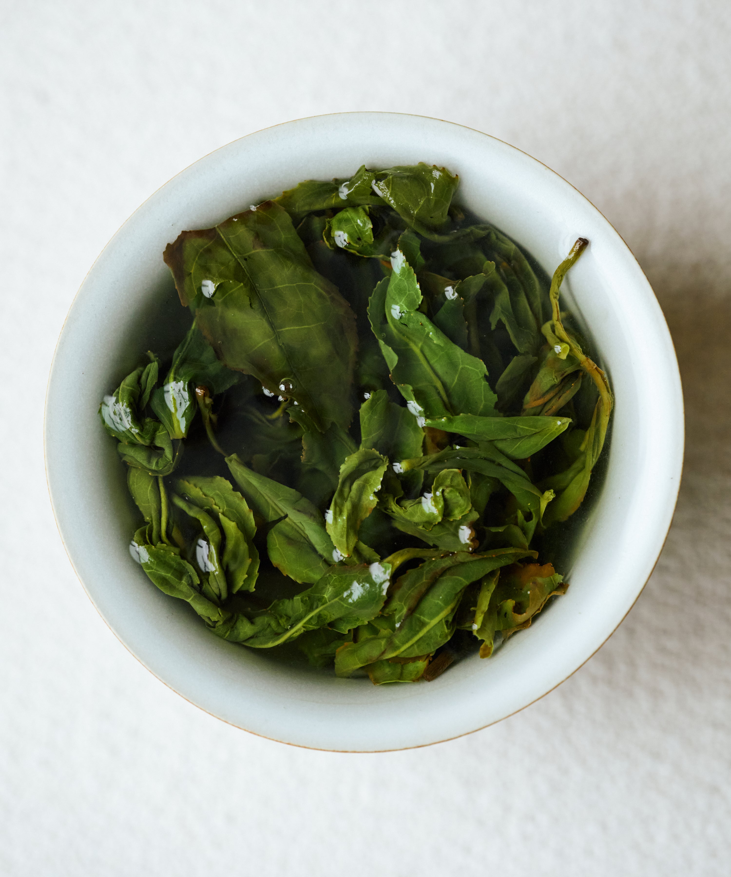Takahashi's Oolong Koju wet leaves after brewing, robust veins and lightly oxidized surface, Shizuoka, Japan