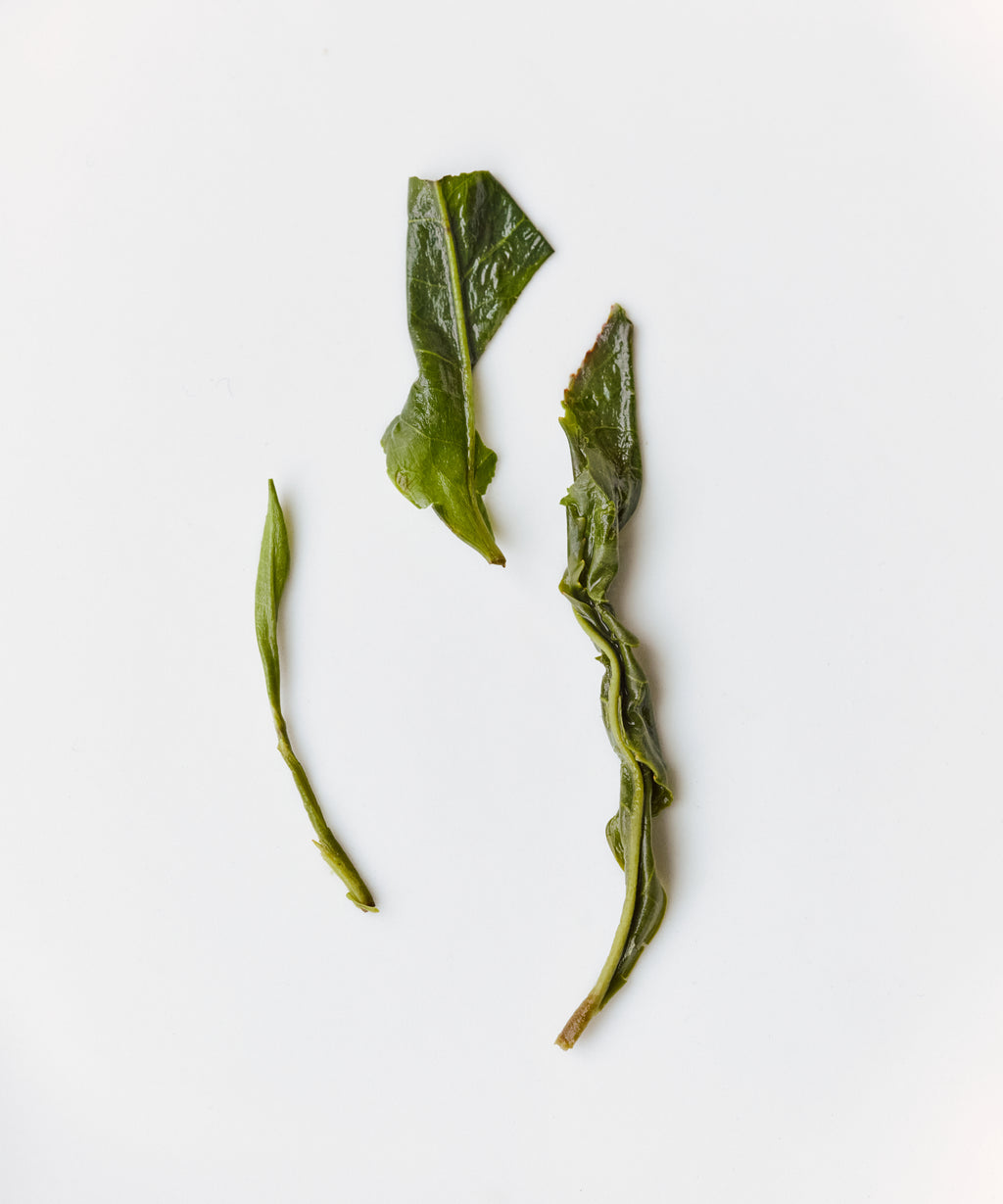 Takahashi's Oolong Koju, hand-picked Japanese oolong from Shizuoka with white flower and saline notes