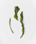 Takahashi's Oolong Koju, hand-picked Japanese oolong from Shizuoka with white flower and saline notes