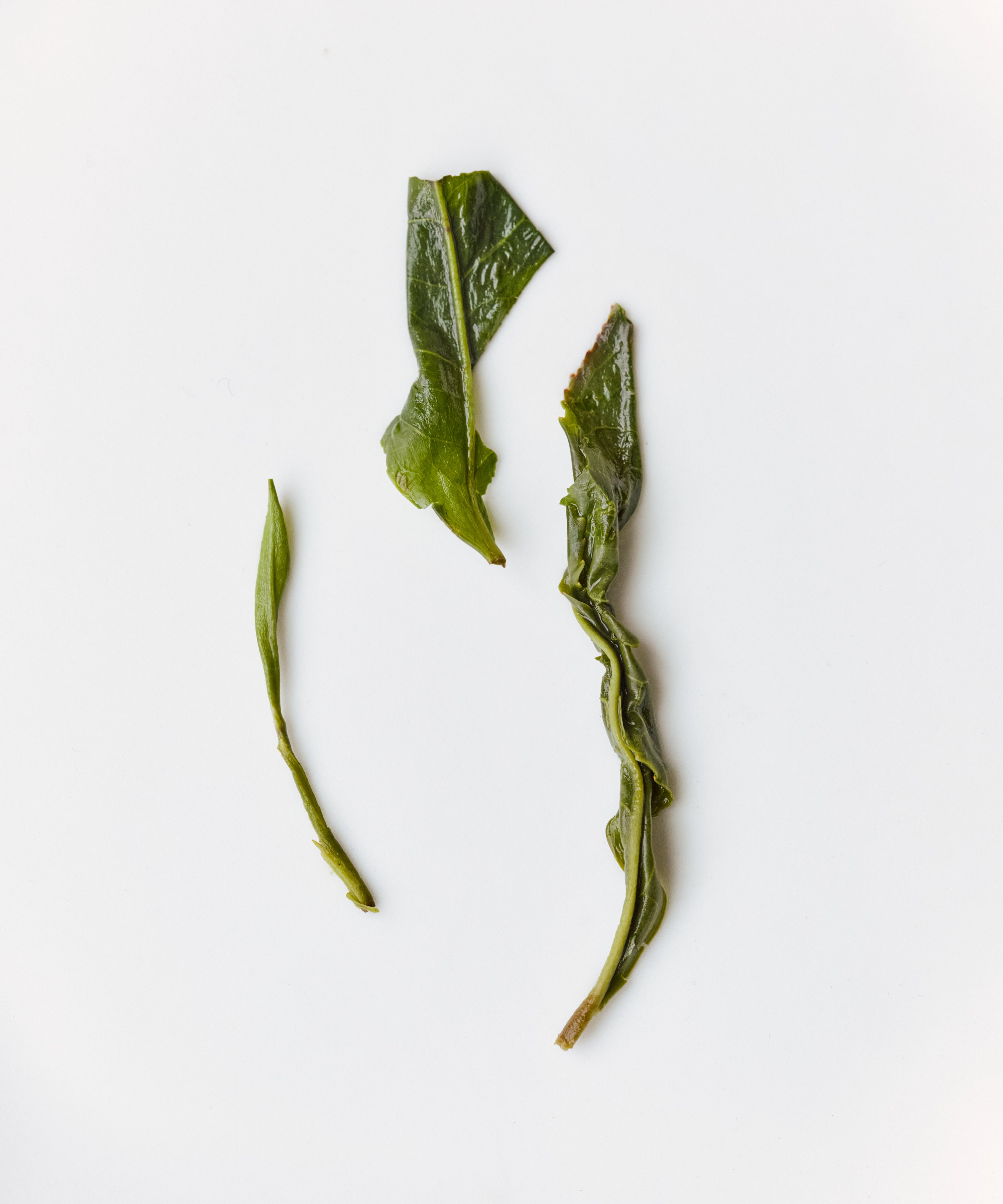 Takahashi's Oolong Koju, hand-picked Japanese oolong from Shizuoka with white flower and saline notes