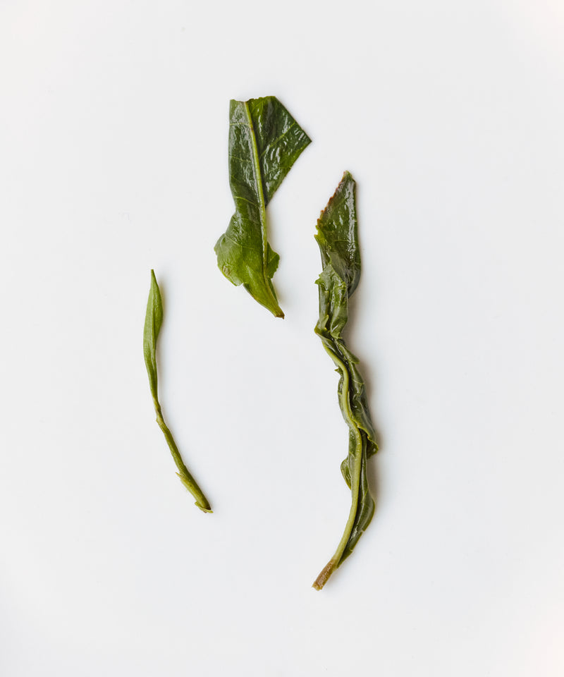 Takahashi’s Oolong “Koju”