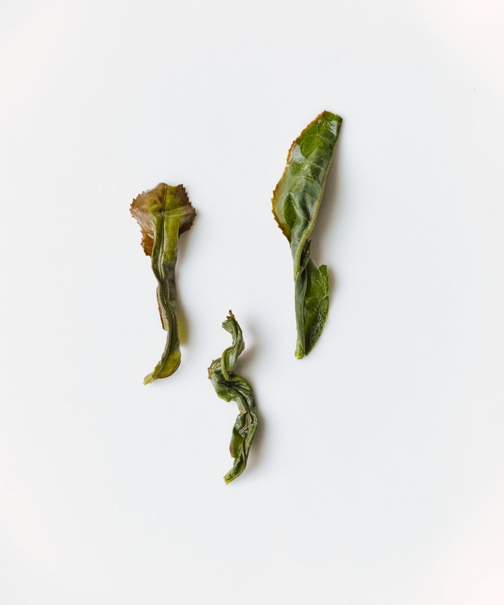 Takahashi's Oolong Inzatsu 131, hand-picked Japanese oolong from Shizuoka with orchid and rock face notes