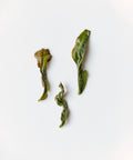 Takahashi's Oolong Inzatsu 131, hand-picked Japanese oolong from Shizuoka with orchid and rock face notes