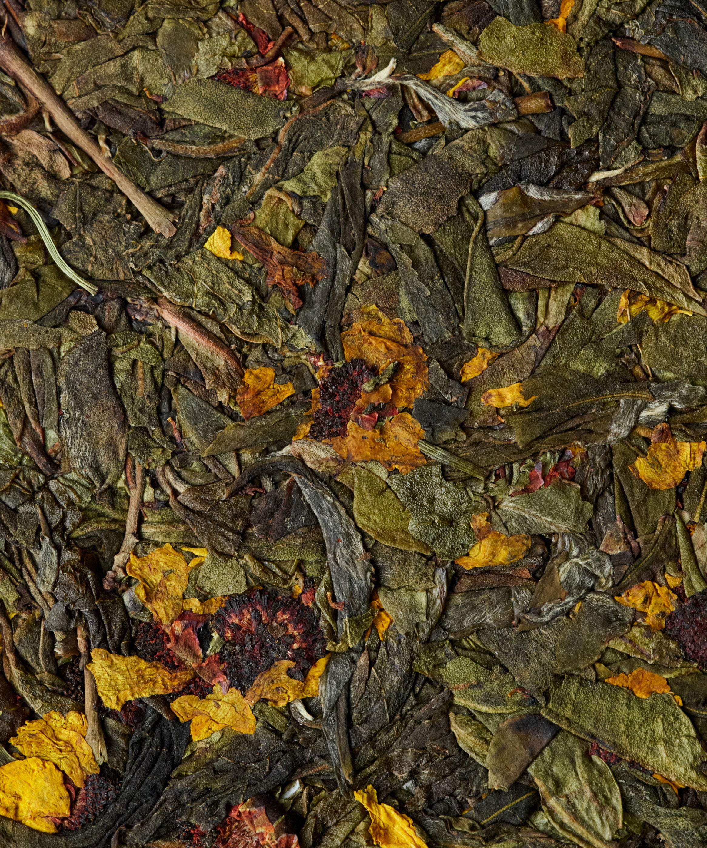 Snow Chrysanthemum & Pu'erh raw sheng cake by Tang Wang from Jinggu, Yunnan