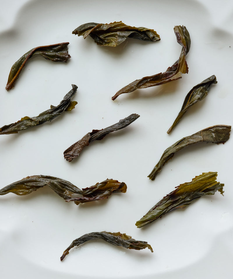 Shuixian "Flower Fairy"