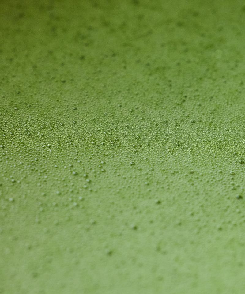 Matcha "Seihyo no Shiro" Shincha