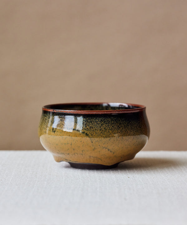 Nokime Tenmoku Chawan