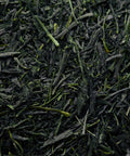 Shizuoka Gyokuro Uraraka from Shizuoka, Japan - rare-varietal shade-grown gyokuro