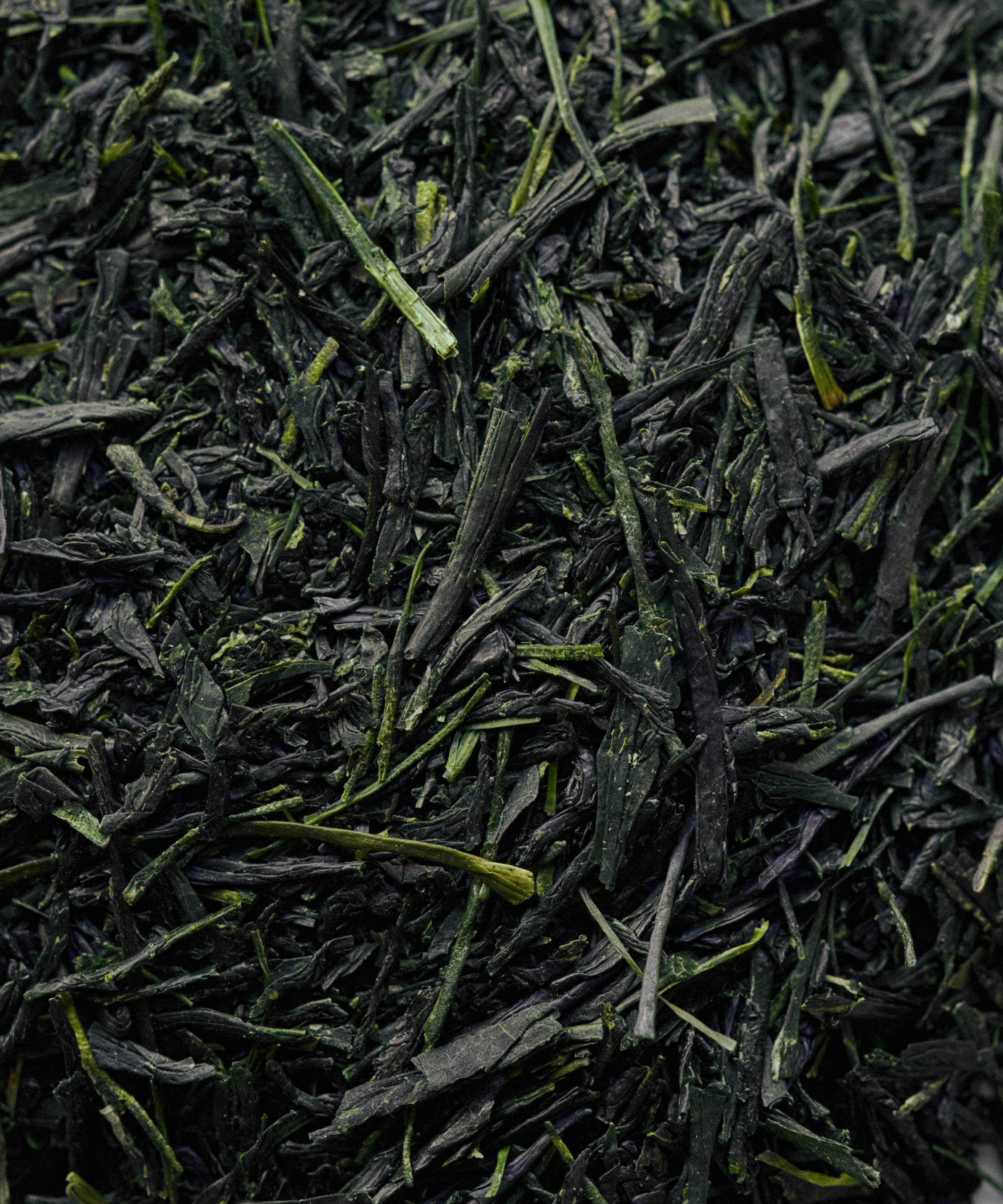 Shizuoka Gyokuro Uraraka from Shizuoka, Japan - rare-varietal shade-grown gyokuro