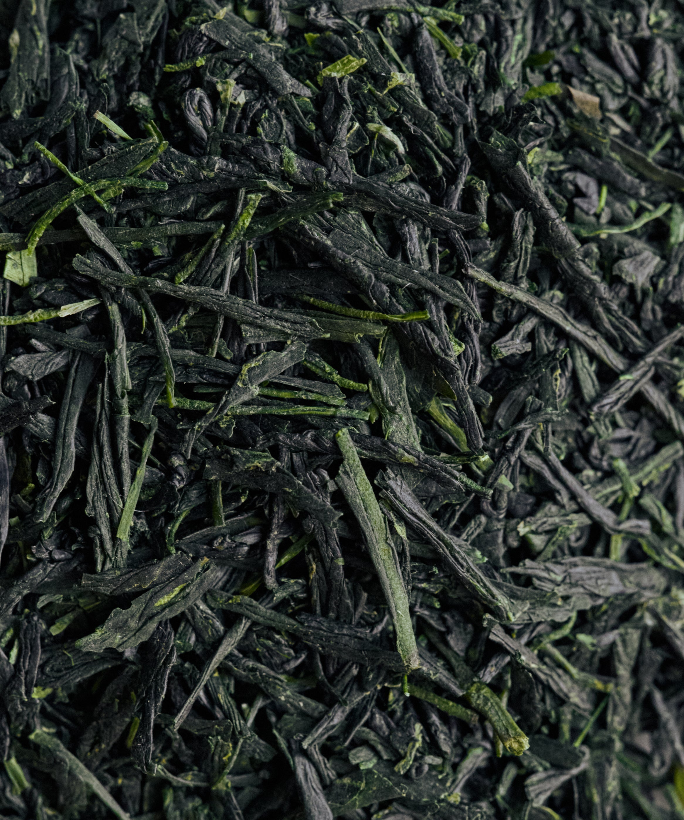 Yame Gyokuro Jun leaves from Yame, Fukuoka - traditional straw-screen shaded gyokuro