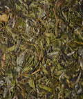 Huangtang Yellow Broth 2021 pressed cake by Mr. Huang's family from Pingyang, Wenzhou Zhejiang - heritage yellow tea aged 5 years