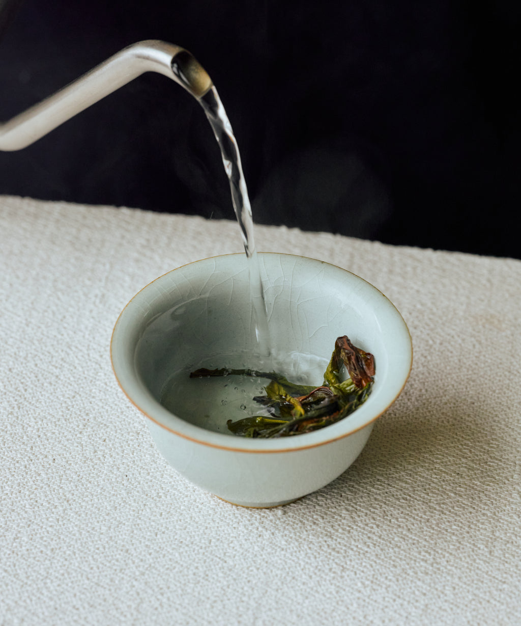Snow Flake Duck Shit in porcelain vessel — Mr. Fu's winter Phoenix oolong, Dazhi Mountain