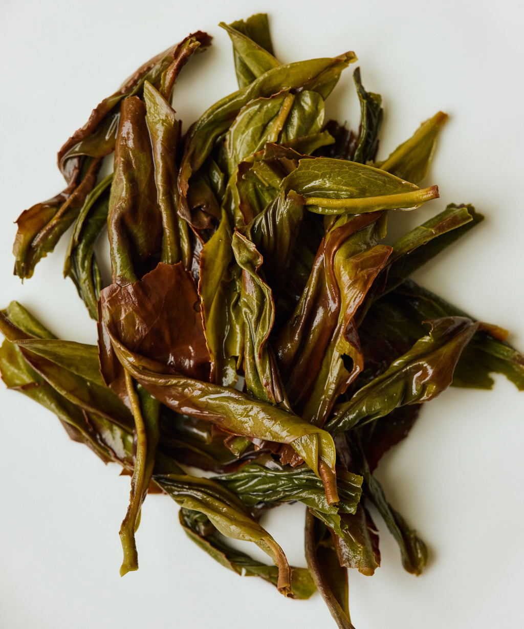 Wet Snow Flake Duck Shit leaves after brewing - expanded dancong oolong form