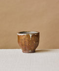 Tea Cup Earth