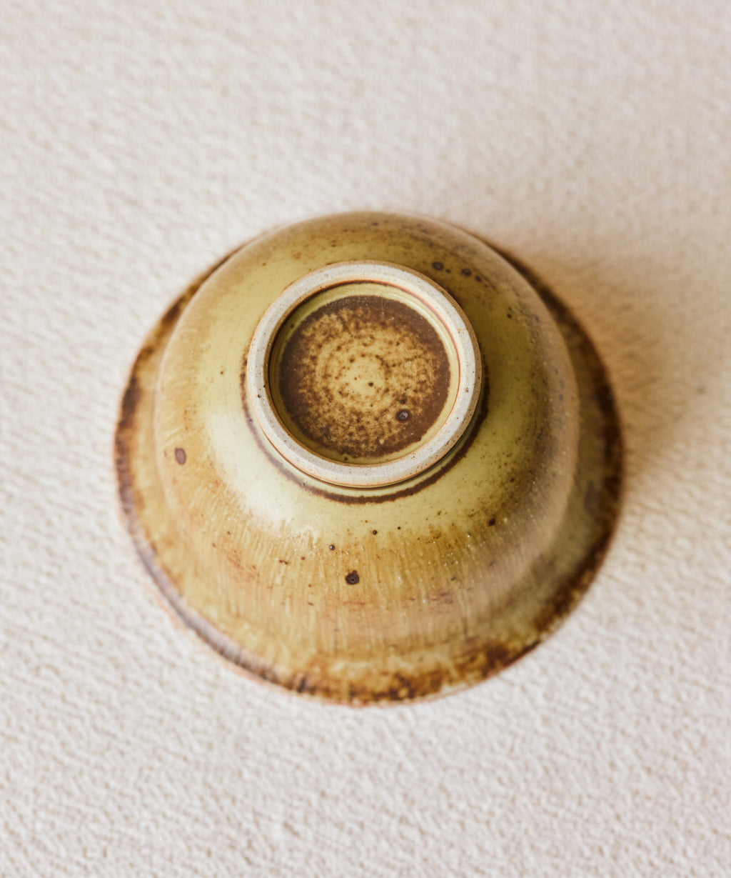 Gaiwan Earth I