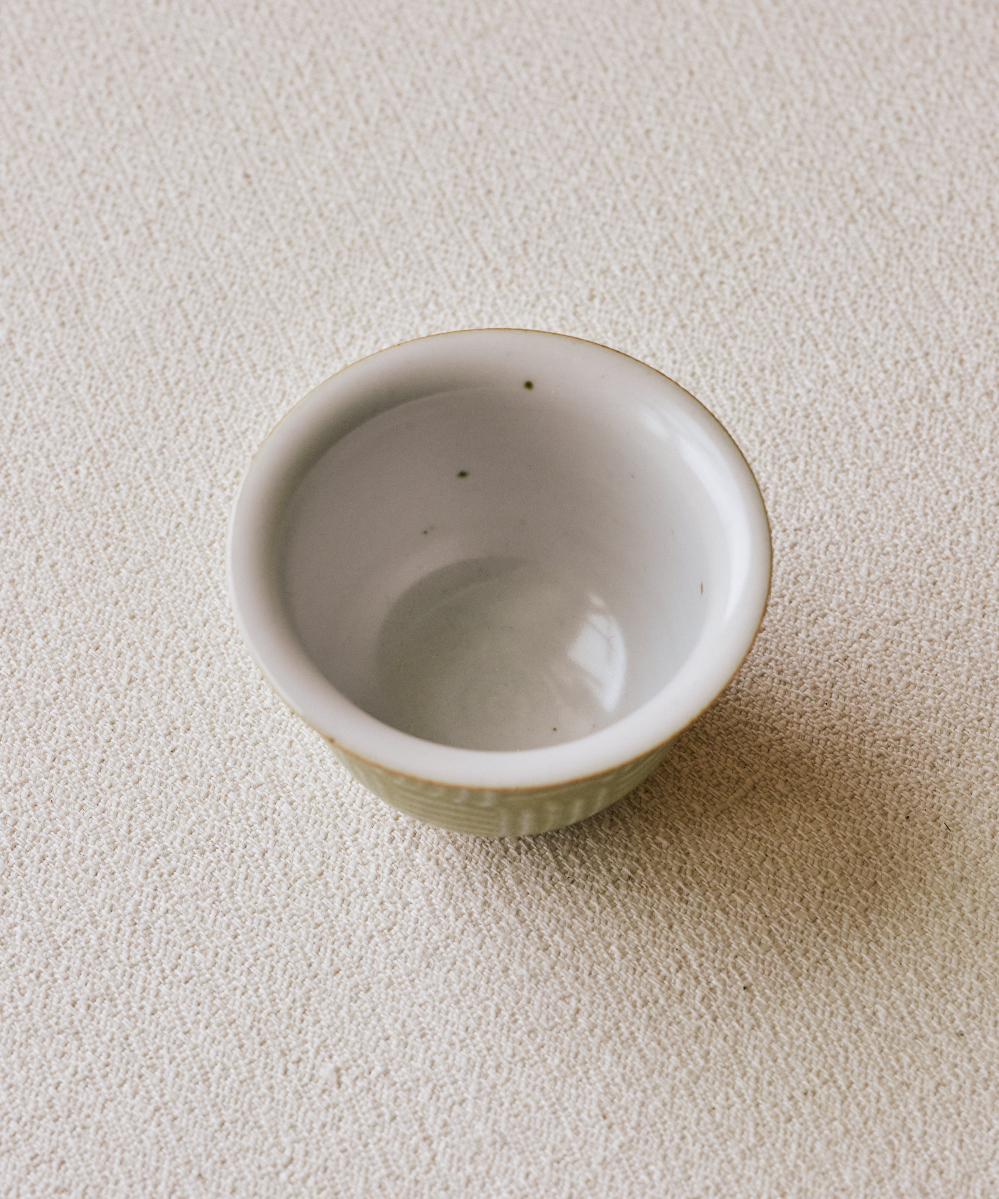 Green Forest Gaiwan