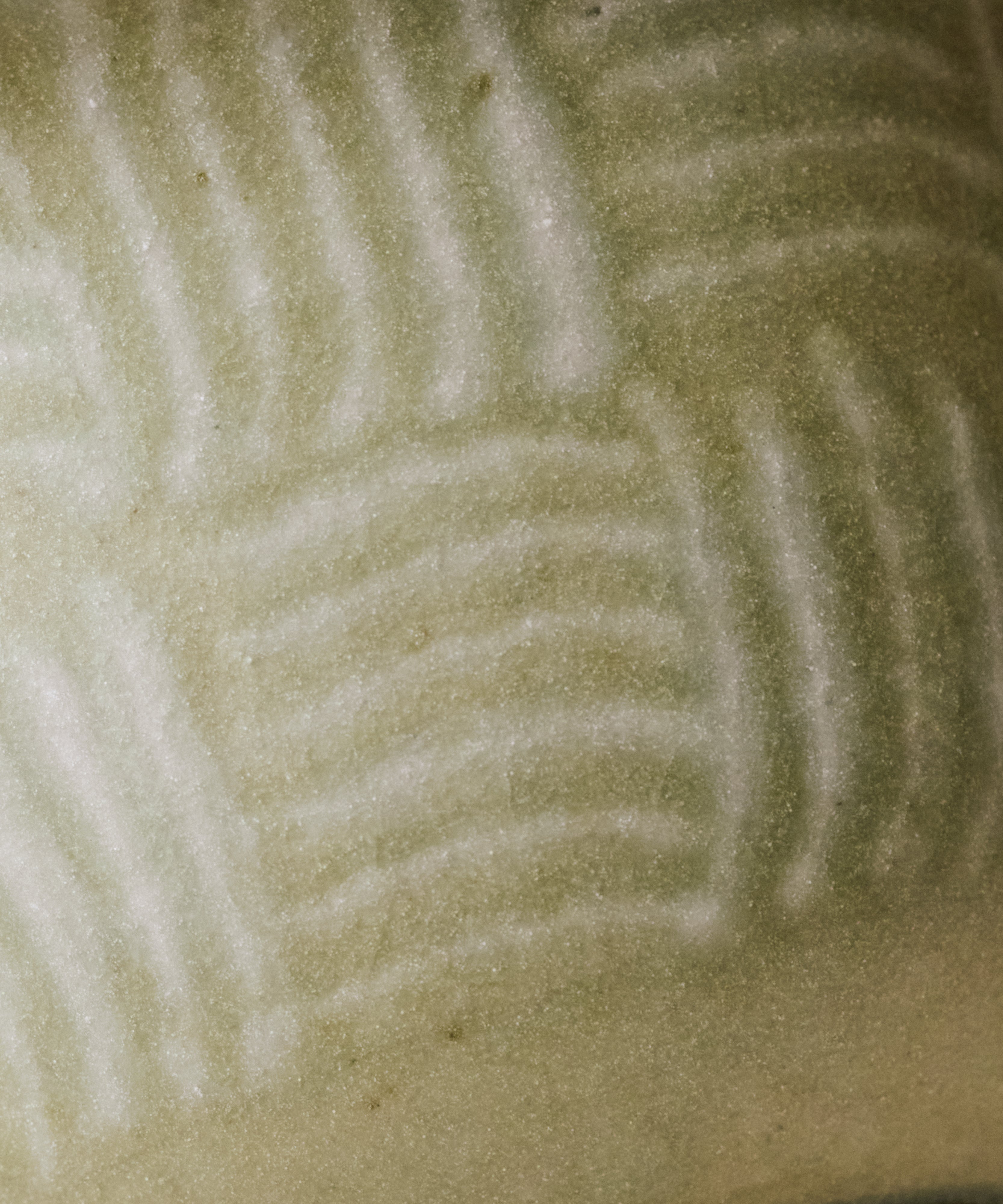 Green Forest Gaiwan