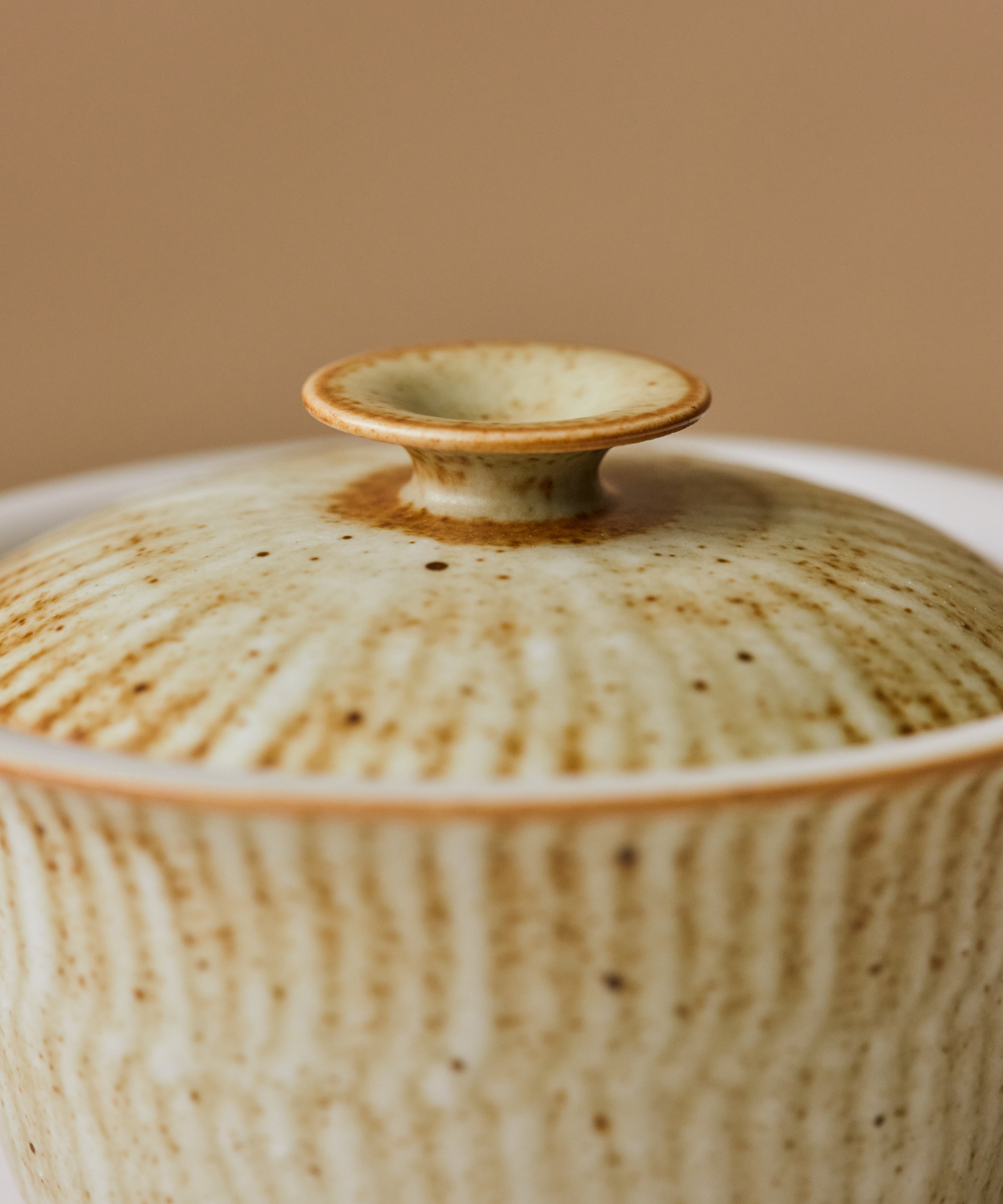 Ecru Seashell Gaiwan lid detail, organic intertidal texture from kiln fire, Jingdezhen porcelain