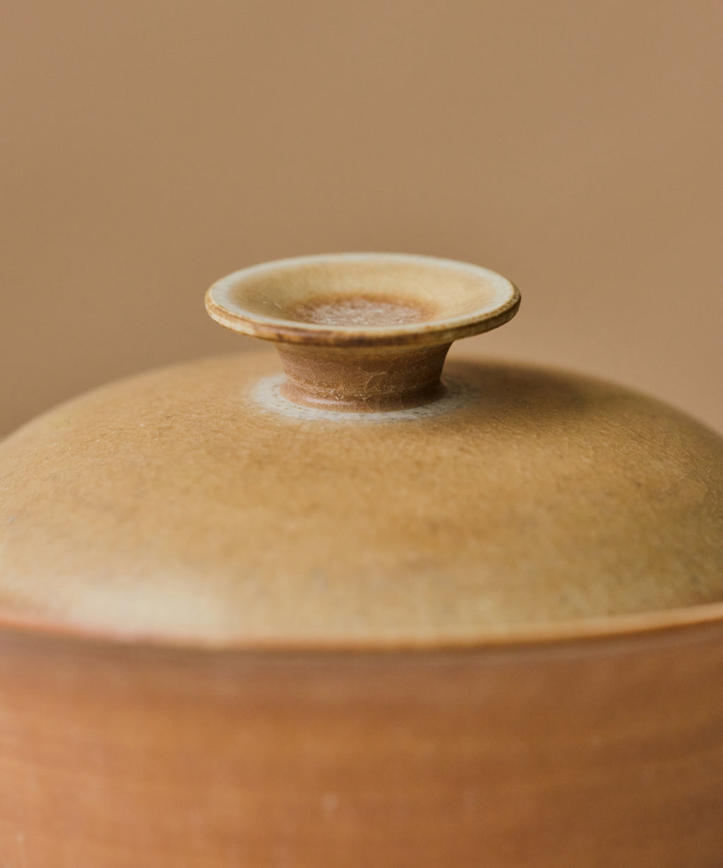 Clamshell V1 Gaiwan lid detail, dusty shell texture with fine aquamarine ring, Jingdezhen porcelain