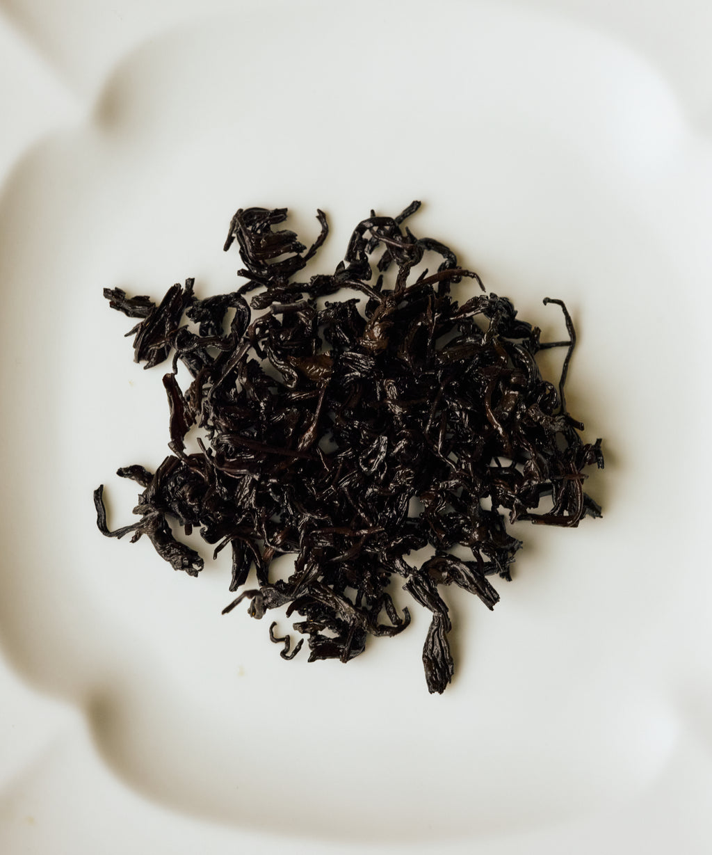 Wet Charcoal Roasted Tibetan Tea leaves after brewing - fermented and roasted dark tea