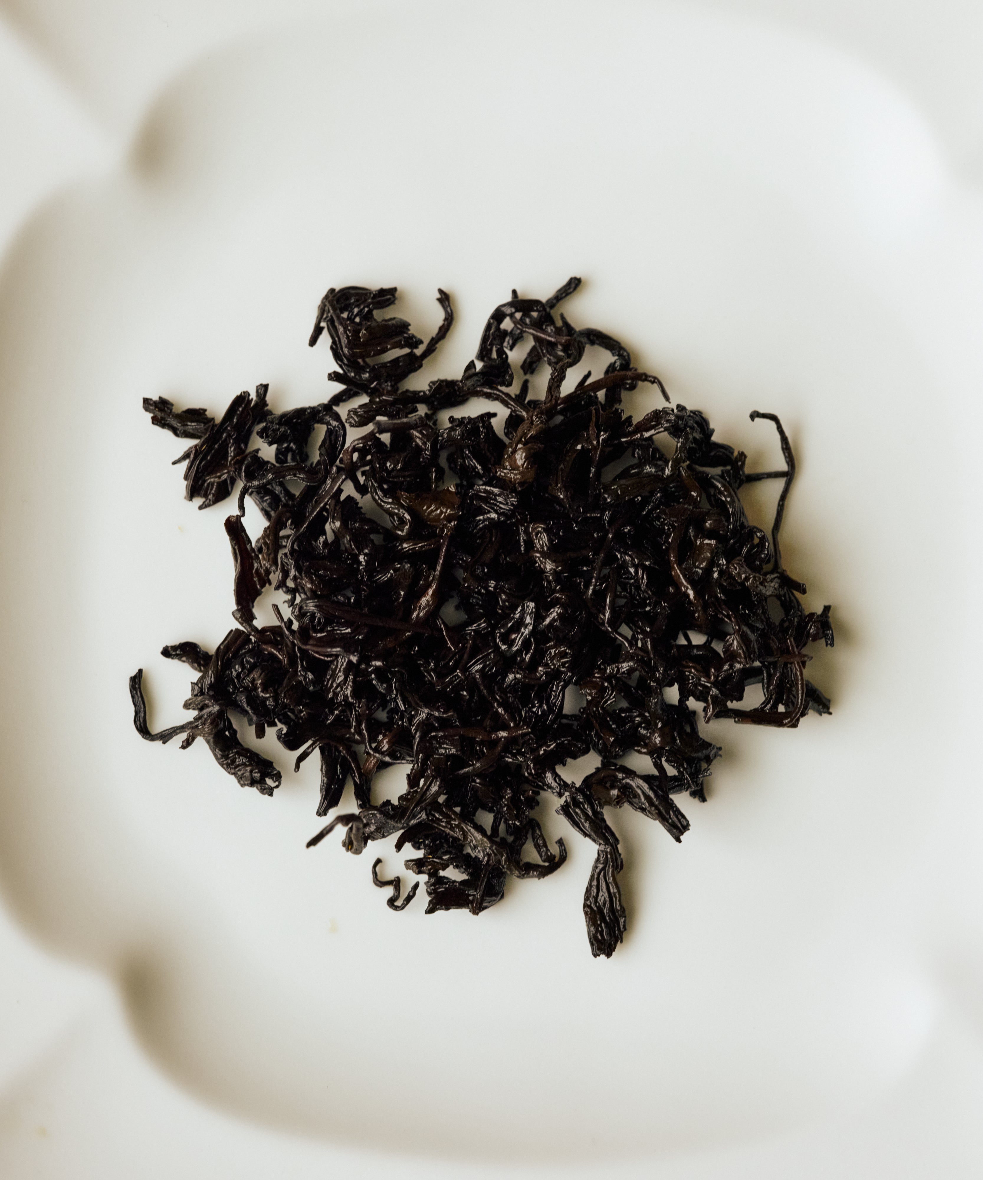 Wet Charcoal Roasted Tibetan Tea leaves after brewing - fermented and roasted dark tea
