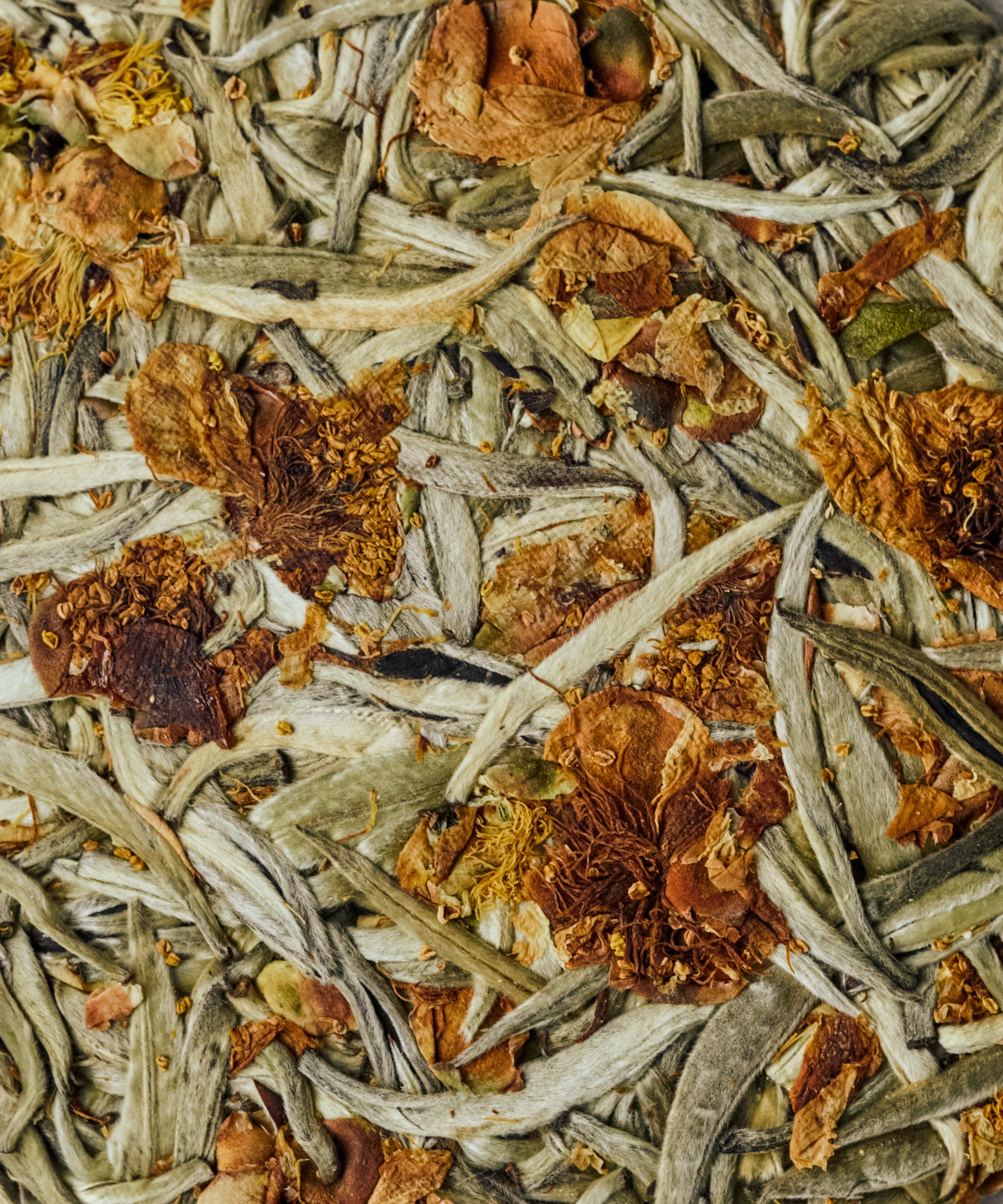 Silver Needle & Tea Blossoms pressed white tea cake by Mr. Tang, Jinggu Yunnan