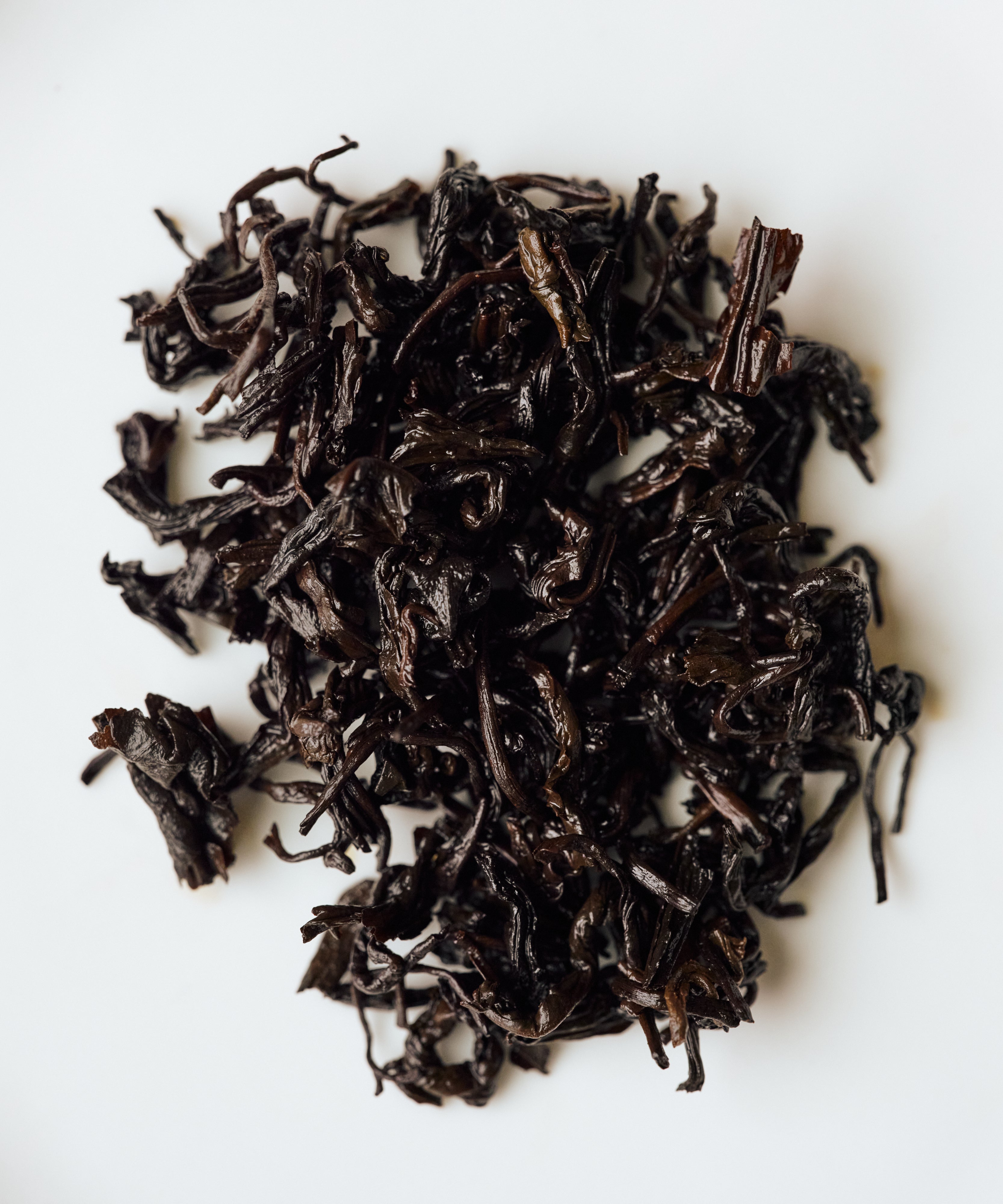 Wet Jasmine Tibetan Tea leaves after brewing - jasmine-scented Sichuan dark tea