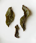 Semi Wild Baiya Qilan oolong by Chen Huoping — lychee charcoal roasted from Pengxi Village, Zhangzhou, Fujian