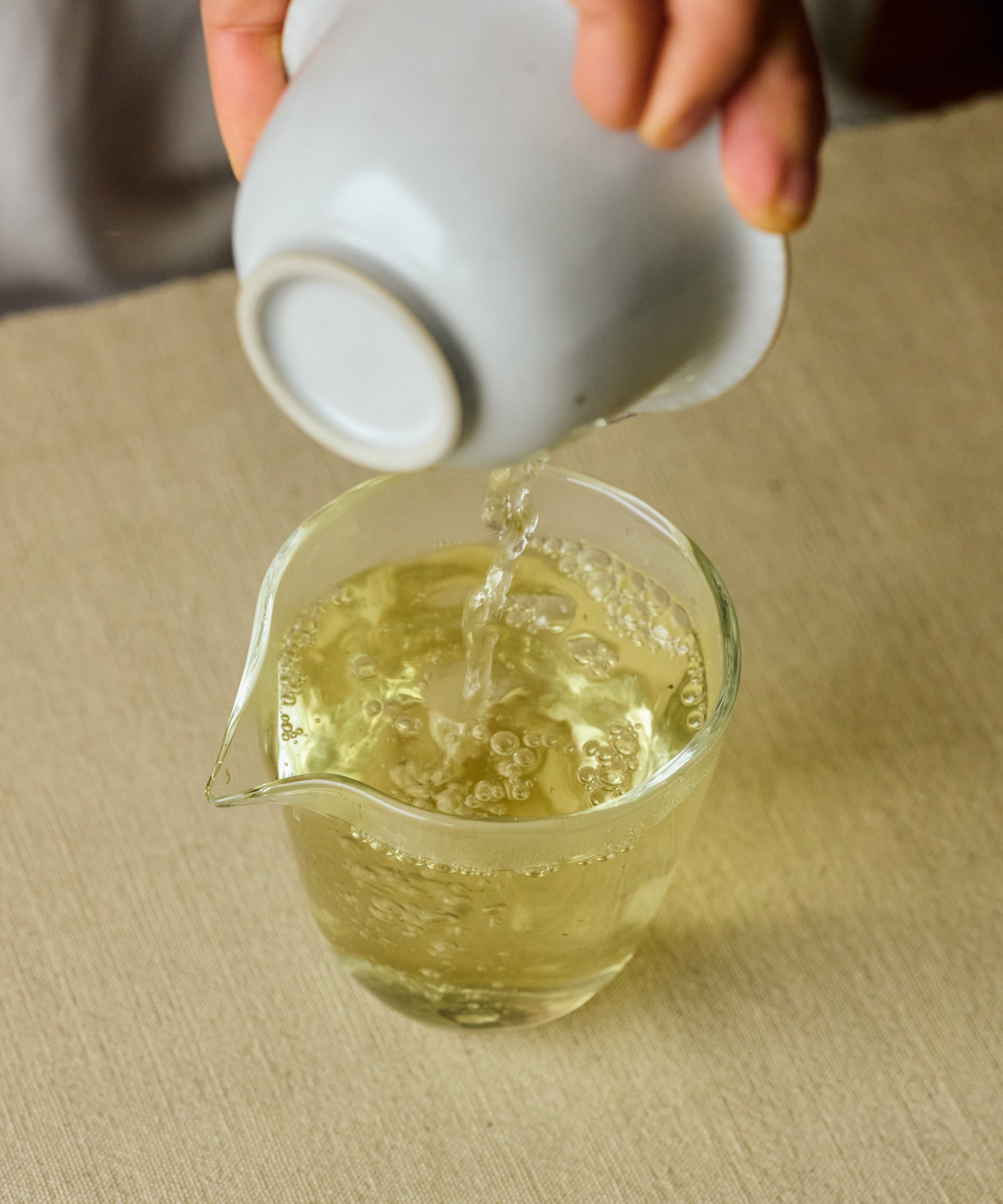 Brewing Jinxuan Milk Oolong in gaiwan — buttery, naturally creamy high mountain oolong from Alishan, Taiwan
