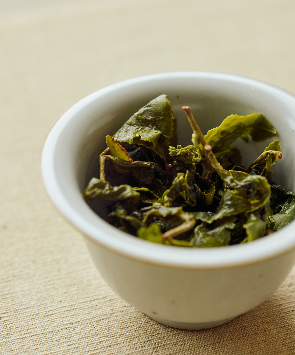 Jinxuan Milk Oolong leaves unfurling in hot water, releasing creamy floral aroma