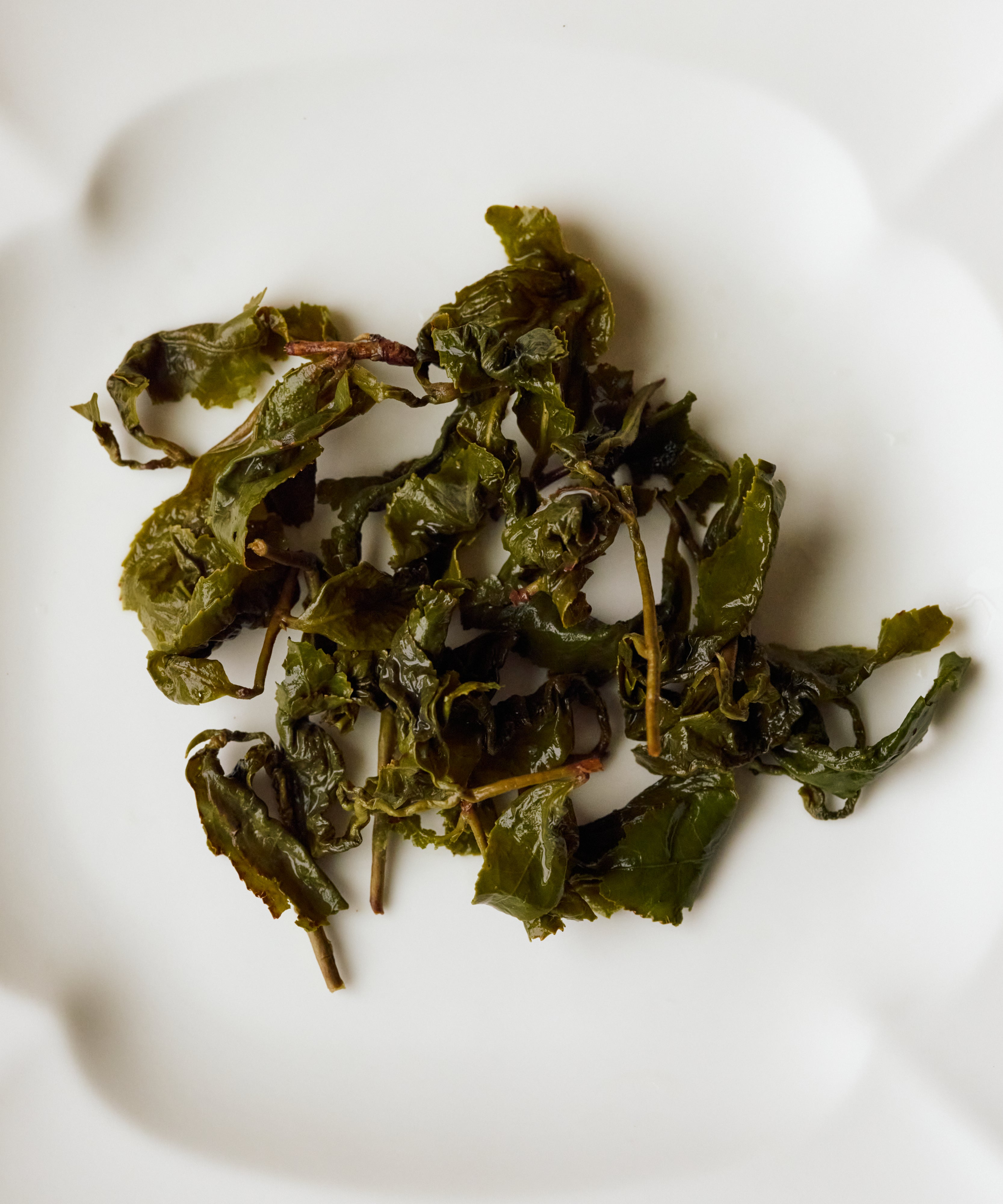 Cup of Jinxuan Milk Oolong showing the natural milky creamy character