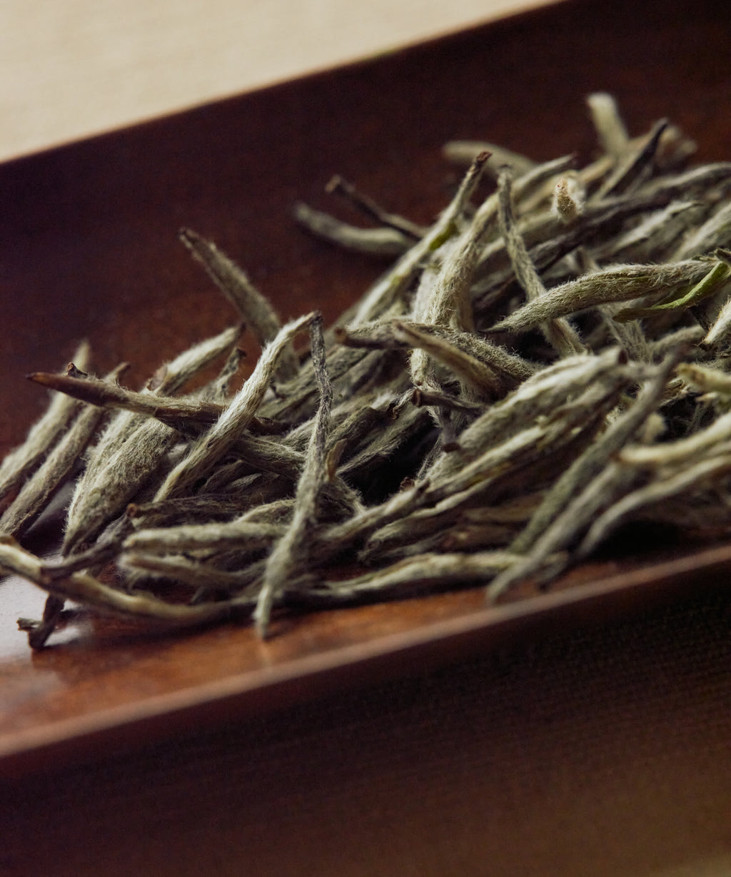Semi Wild Silver Needle dry buds — single bud white tea from old-growth forest, Zhenghe, Fujian