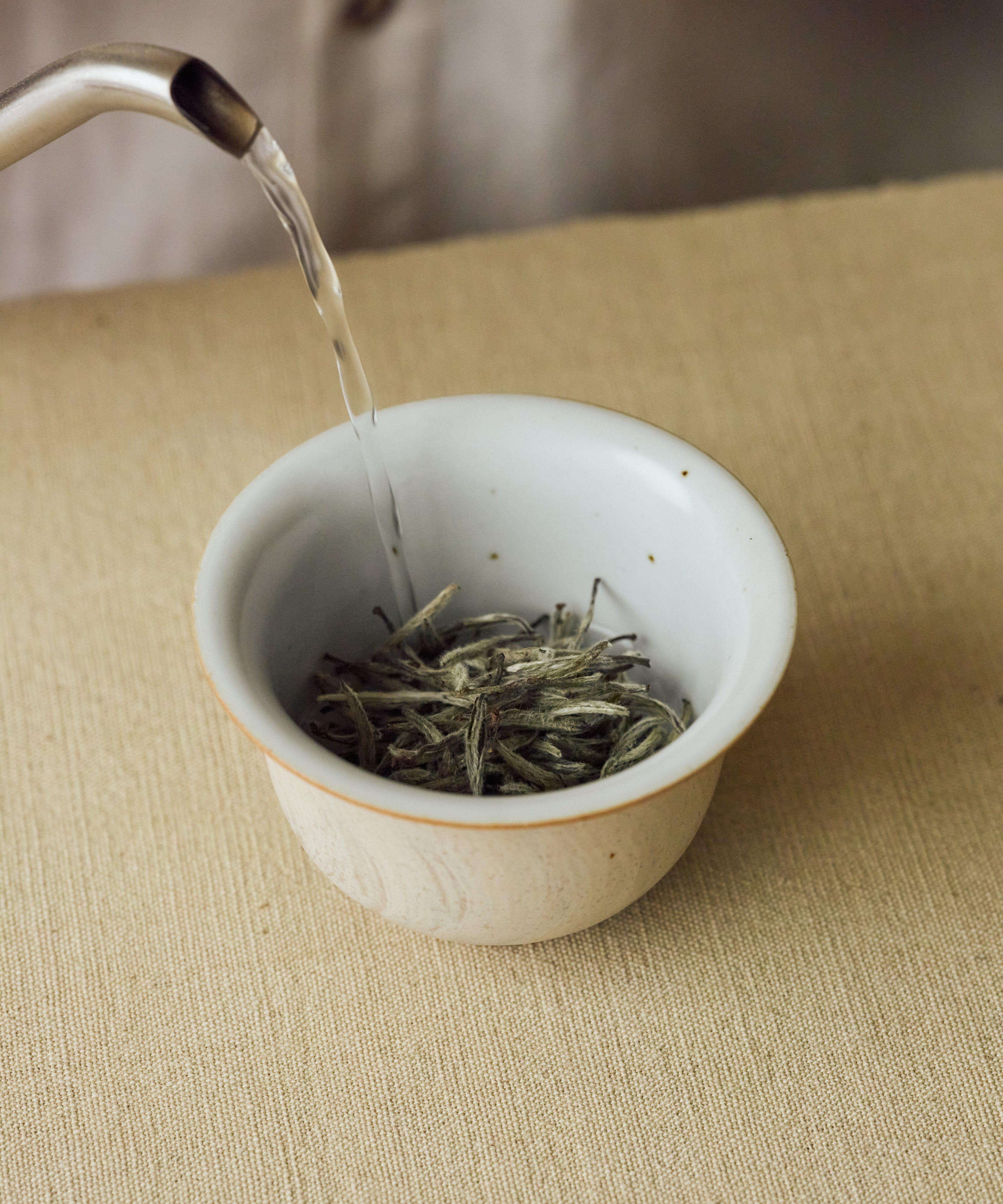 Brewing Semi Wild Silver Needle — Mr. Fan's semi-wild white tea from Zhenghe, Fujian