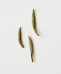 Semi Wild Silver Needle by Mr. Fan — foraged from abandoned Zhenghe Dabai trees at 3600 ft, Fujian