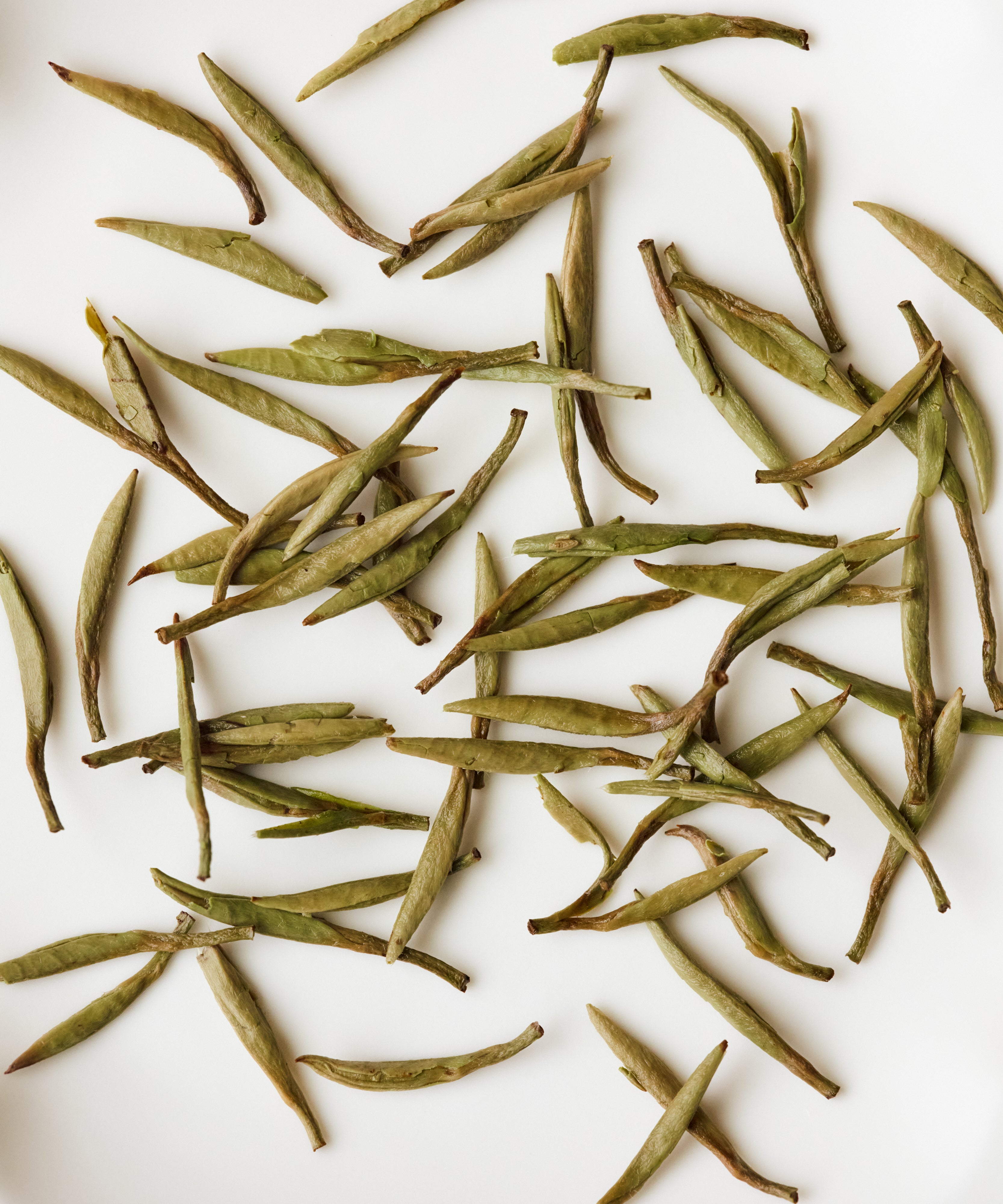 Semi Wild Silver Needle