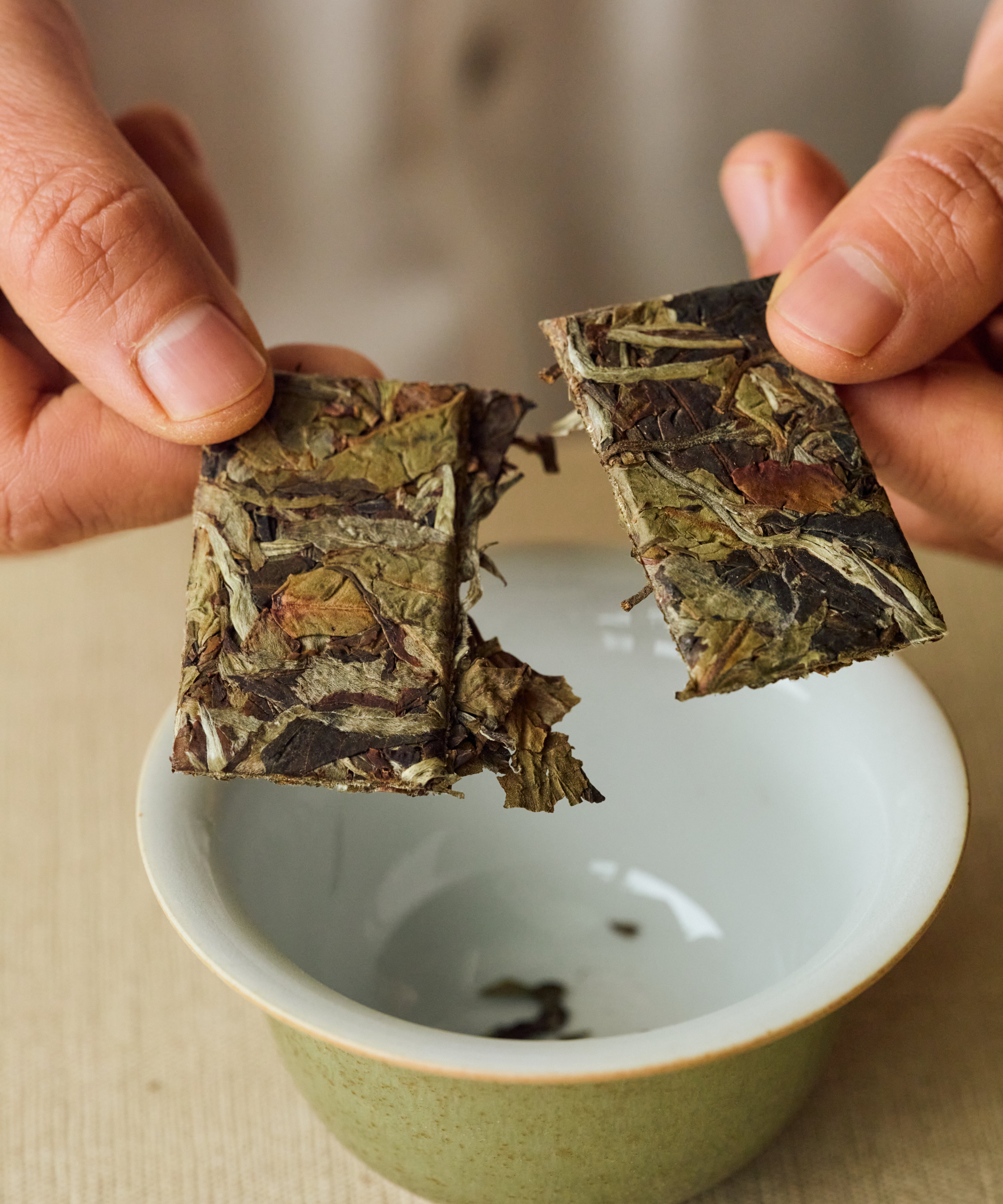 Arbor White liquor — smooth white tea with floral aromatics and lingering sweetness, Lincang, Yunnan