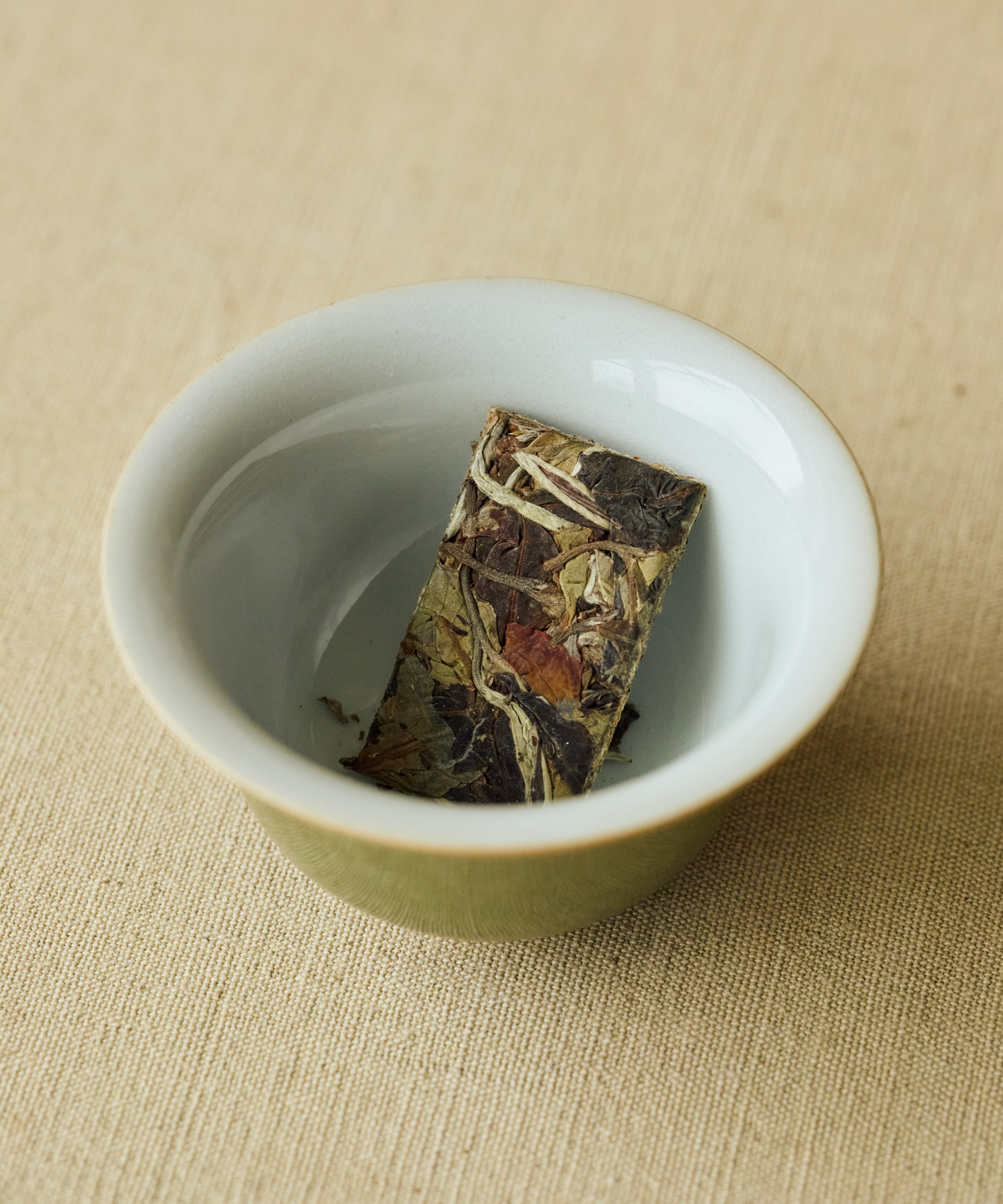 Arbor White wet leaves after brewing — ancient tree white tea from Mangnuo Village, Yunnan