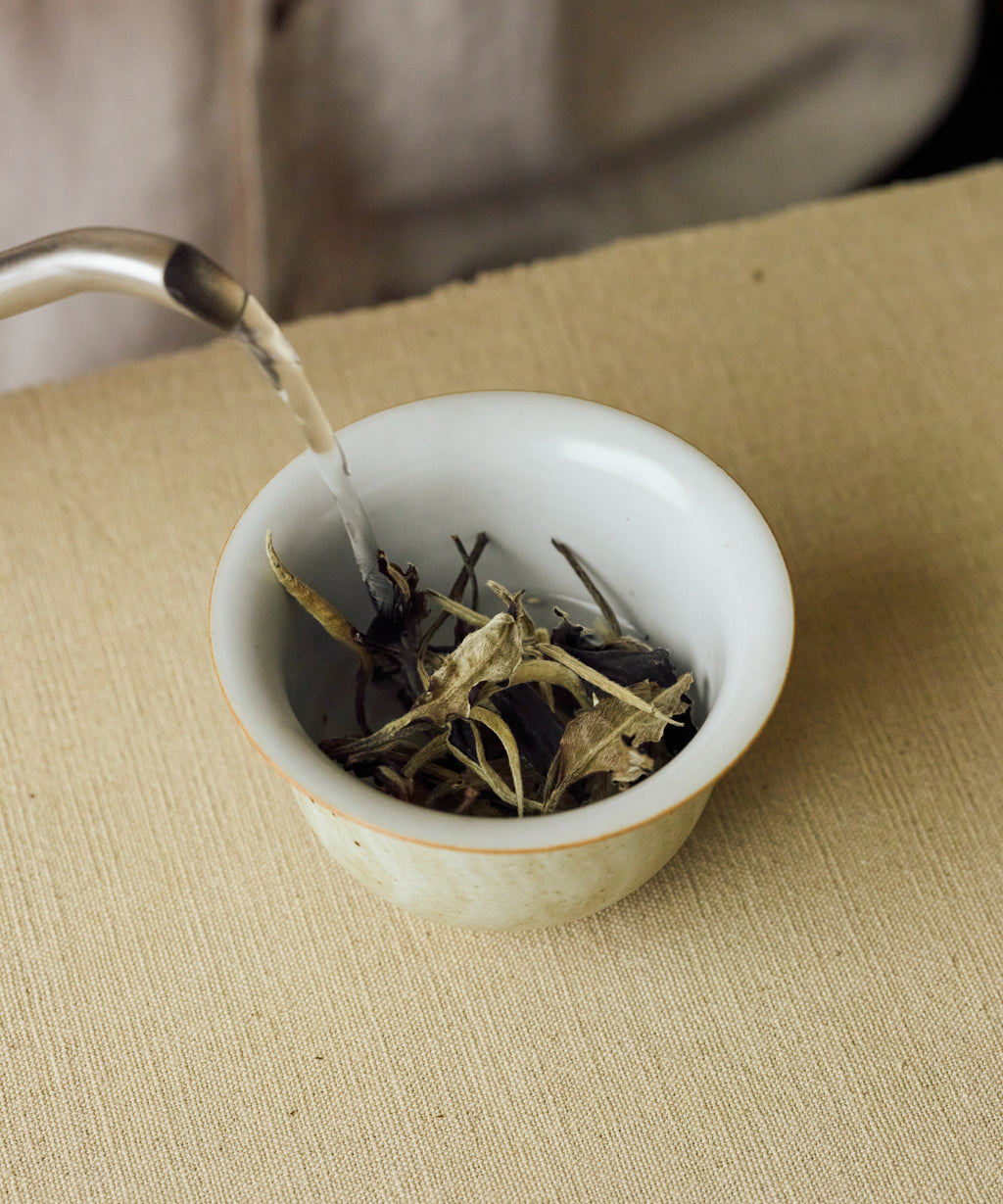 White Moonlight leaves in a porcelain vessel ready for brewing