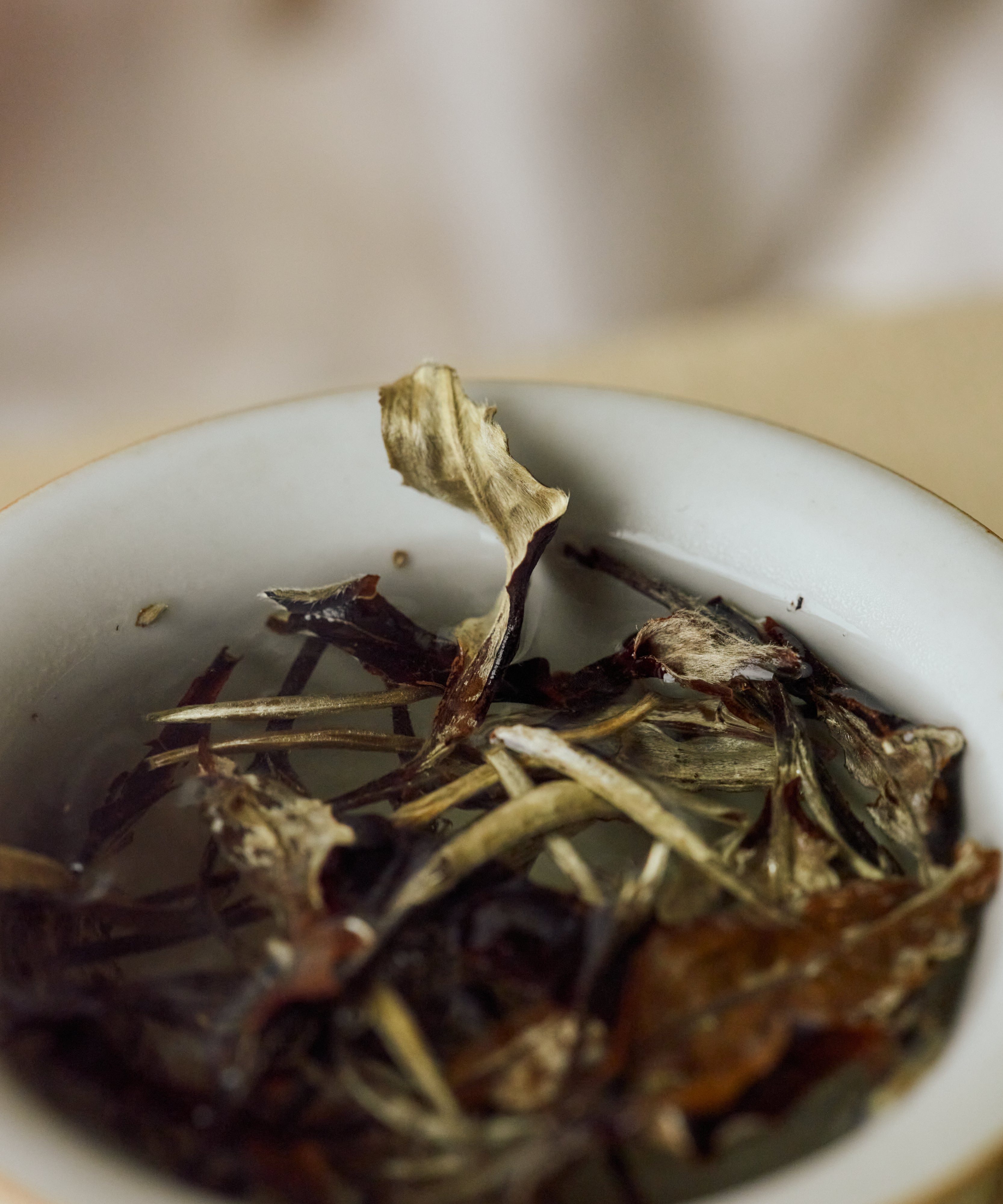 Hot water poured over White Moonlight leaves to brew