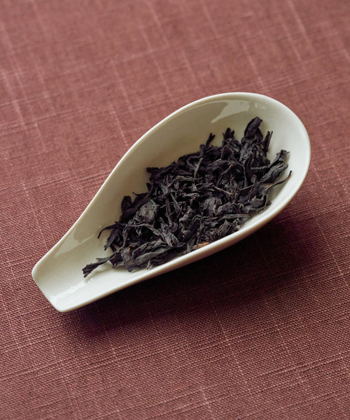 Black Oolong dry leaves — pitch black from extended oxidation and charcoal roasting, Anxi, Fujian