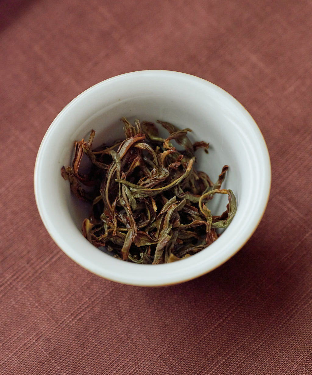 Da'an Song Zhong wet leaves — Phoenix dancong from Wudong Mountain, Da'an Village, Chaozhou, Guangdong